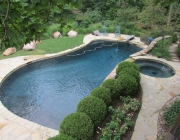 Lagoon Gunite Pool