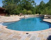 Lagoon Gunite Pool