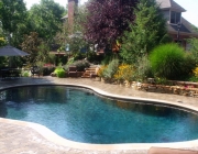 Lagoon Gunite Pool