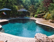 Lagoon Gunite Pool