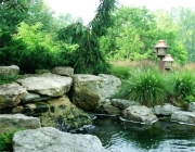 natural gunite pools
