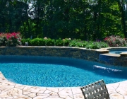 natural gunite pools