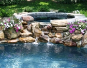 natural gunite pools