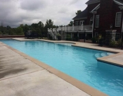 Traditional Gunite Pools