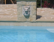 Traditional Gunite Pools